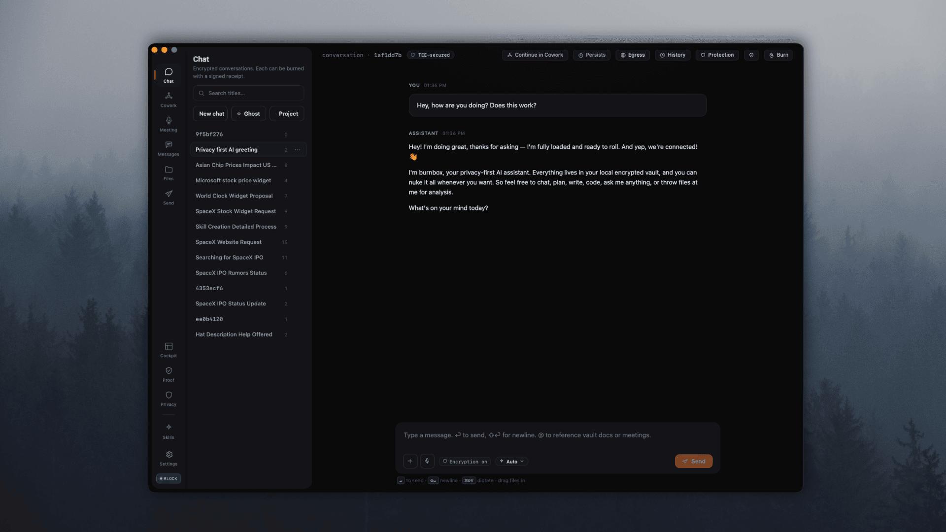 Burnbox chat screen — a TEE-secured, burnable conversation with the privacy-first assistant